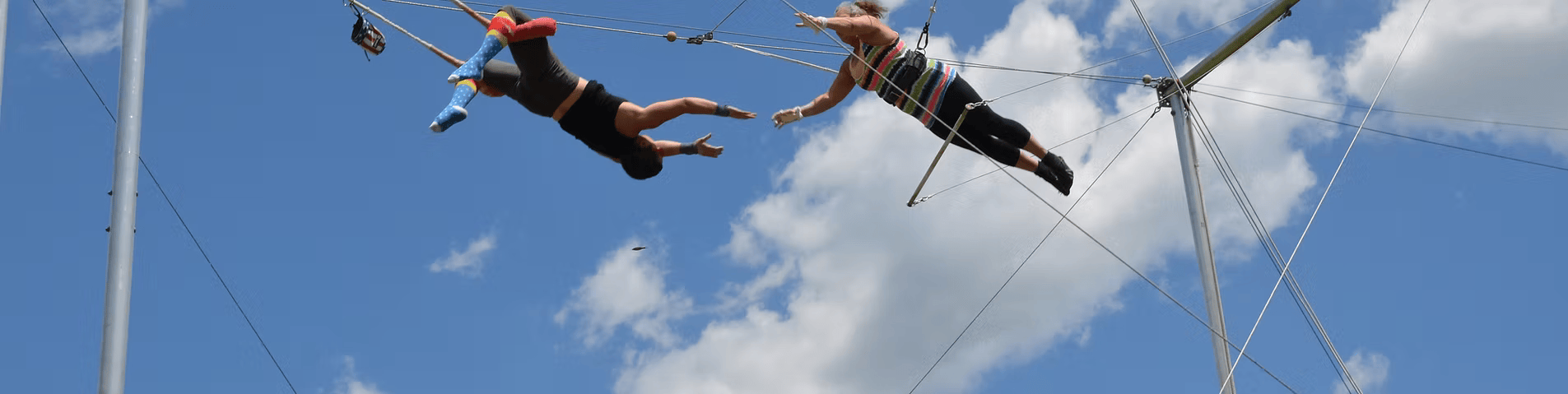 Revolution Trapeze